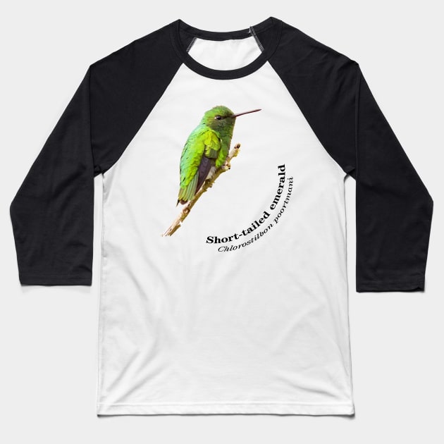 Short-tailed emerald hummingbird at dawn pin Baseball T-Shirt by Ornamentum